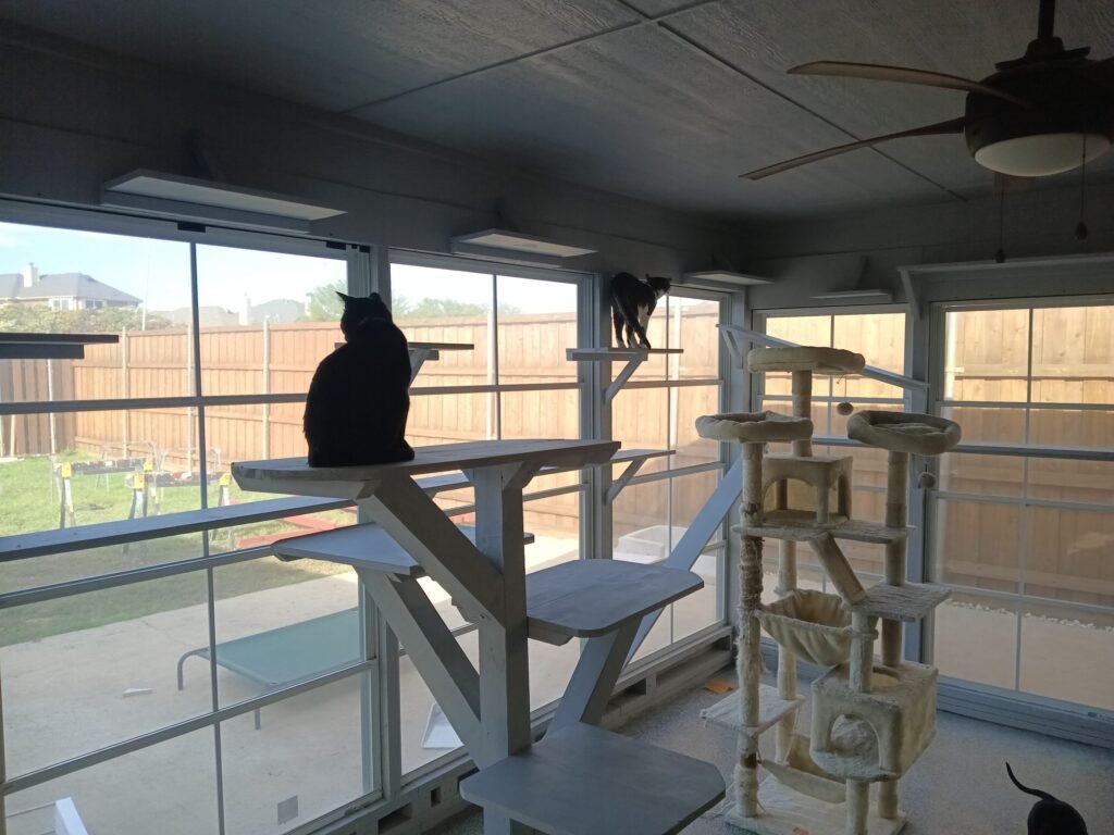 Cat Scraper Catio