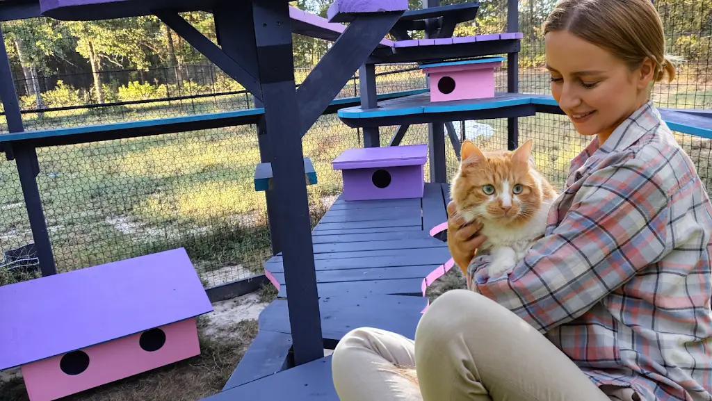 A girl and cat
