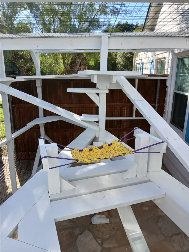 Custom Catio