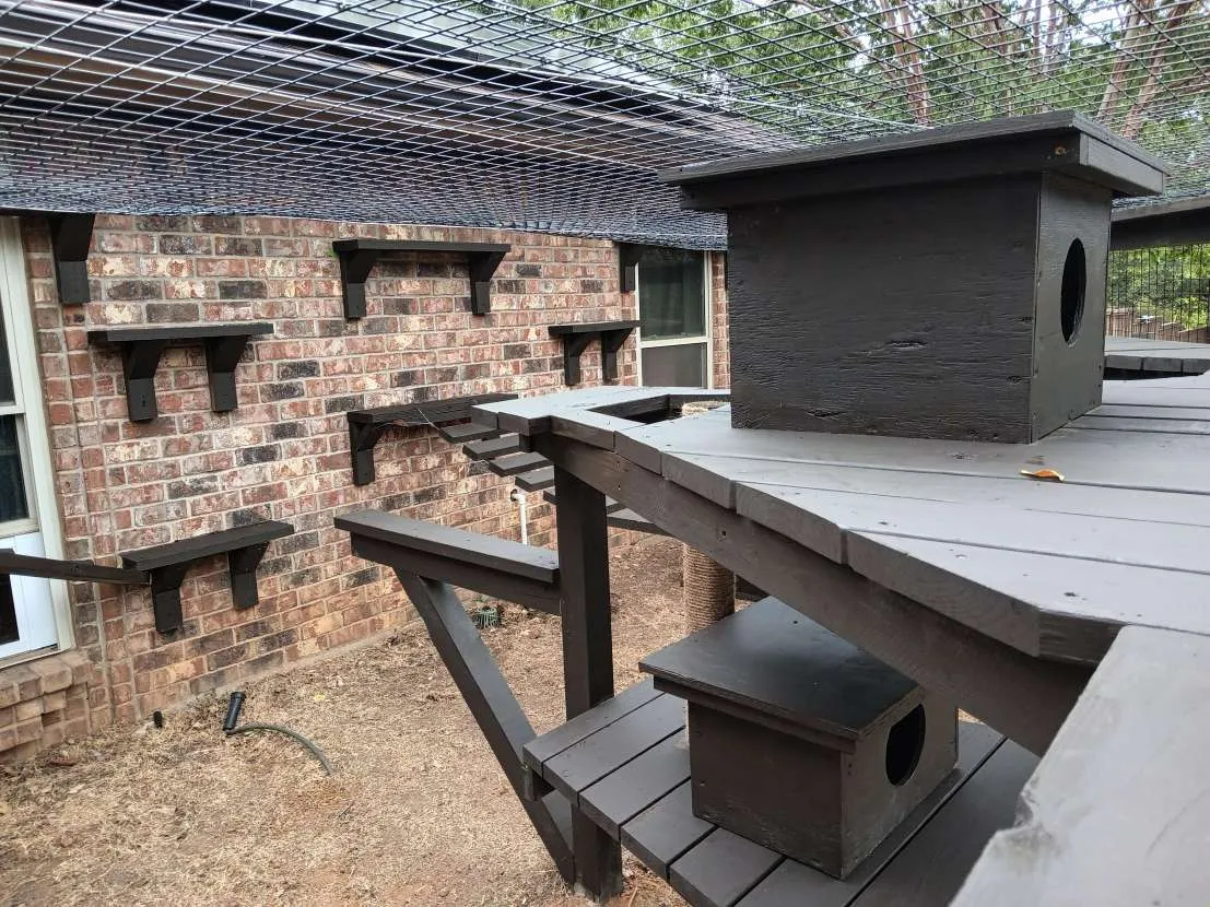 Custom Catio