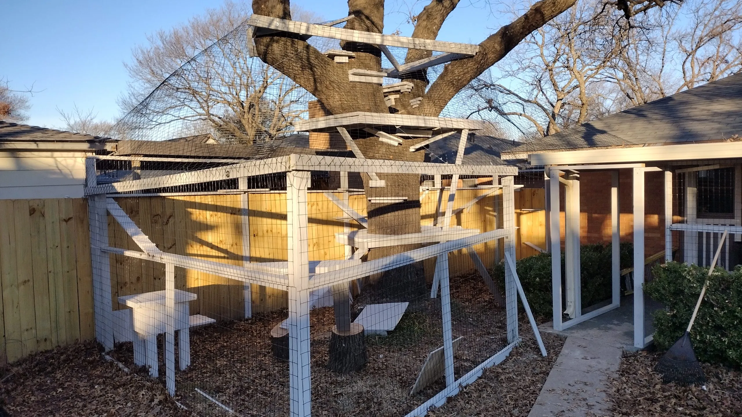 Custom Catio