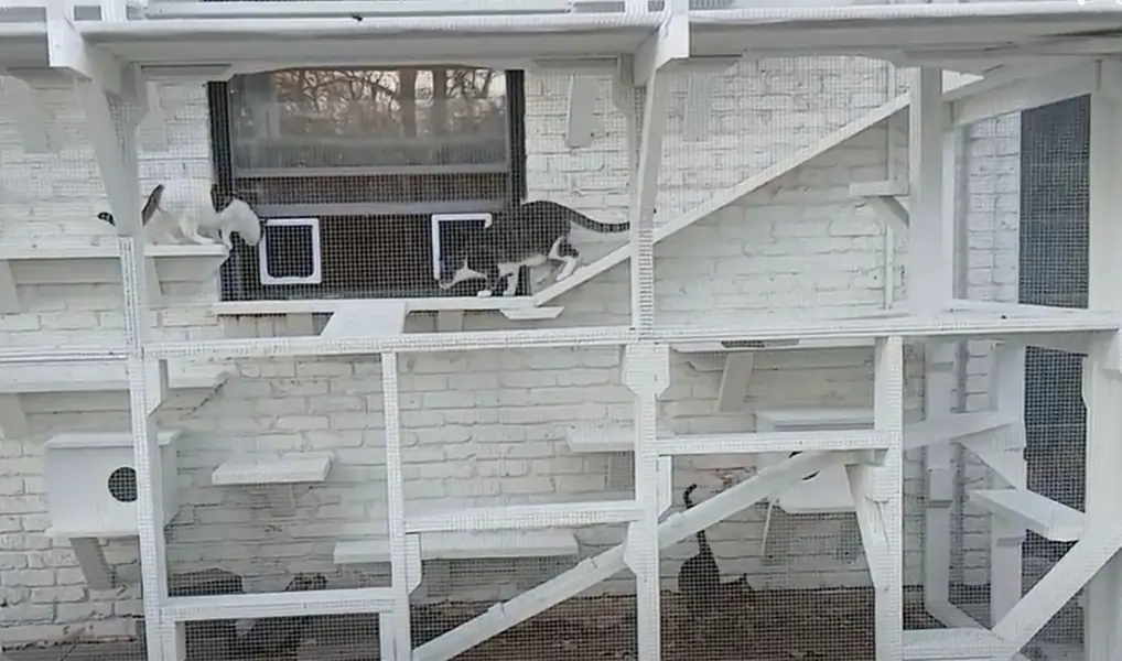 The-Rook-Nook-Catio-1 (1)