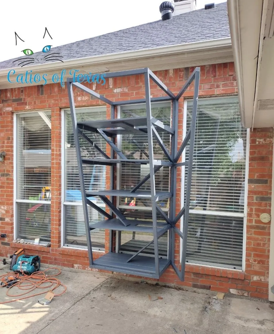 Custom Catio
