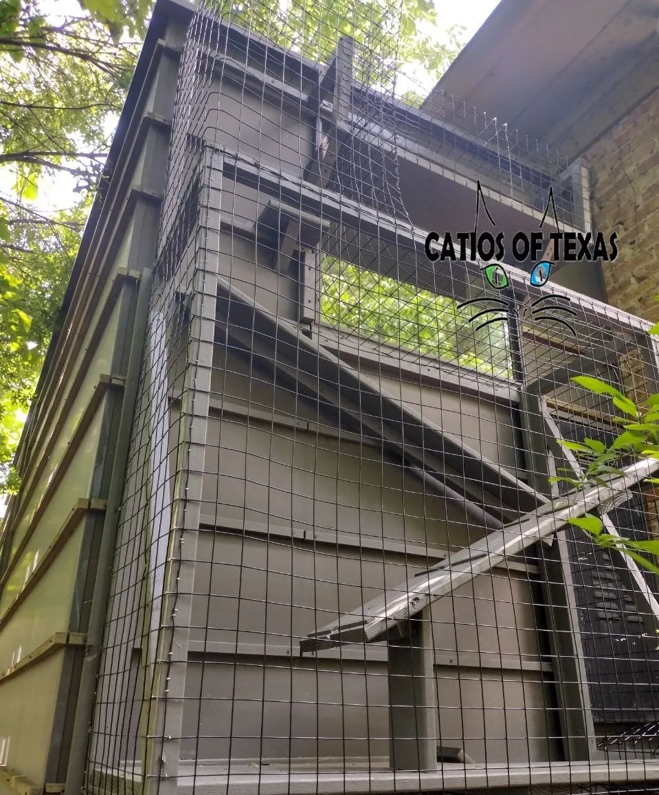 Cat lounging in luxury enclosure