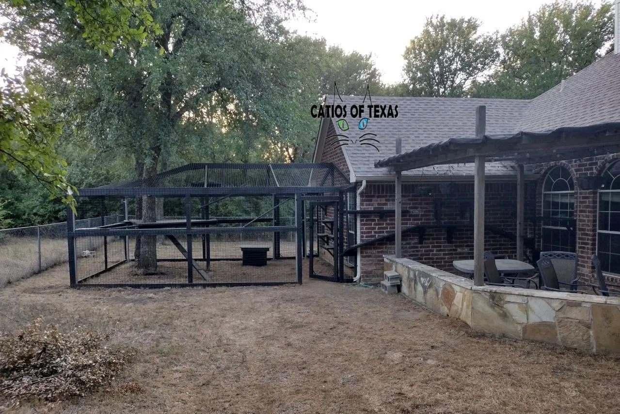 Custom Catio