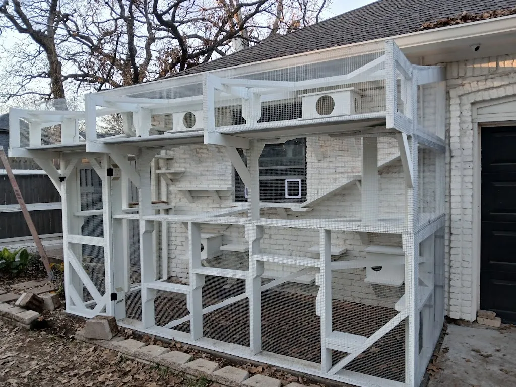 Custom Catio Portfolio | 43+ Designs | Catios of Texas