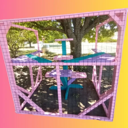 Custom Catio