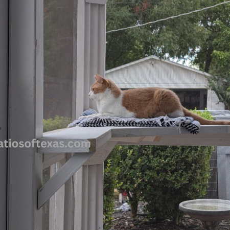 Best Custom Builder Catios of Texas.com