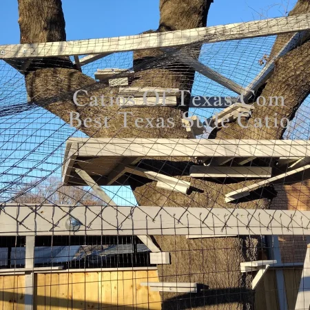 Castle Catios of Texas Dallas