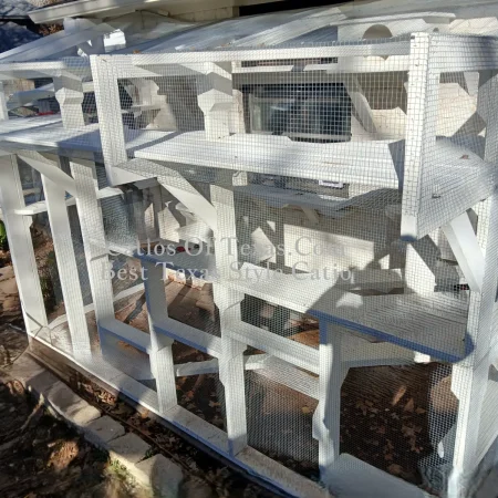 Catios of Texas white catio Rook Nook