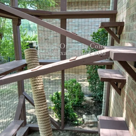 Catios of Texas.com Best Catio