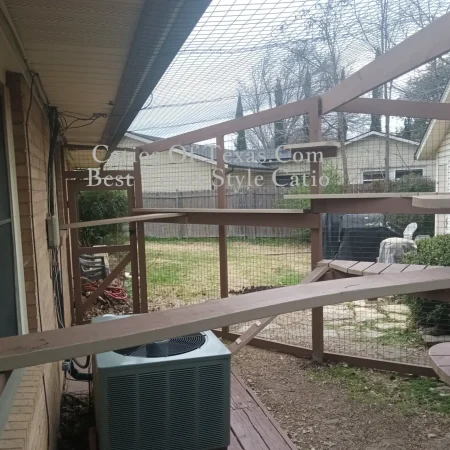 Catios of Texas.com Catflix Catio