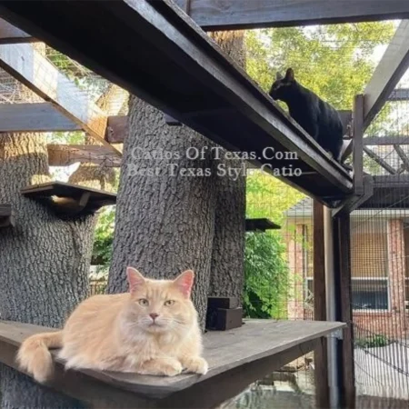 Catios of Texas.com Classic Outdoor Catio