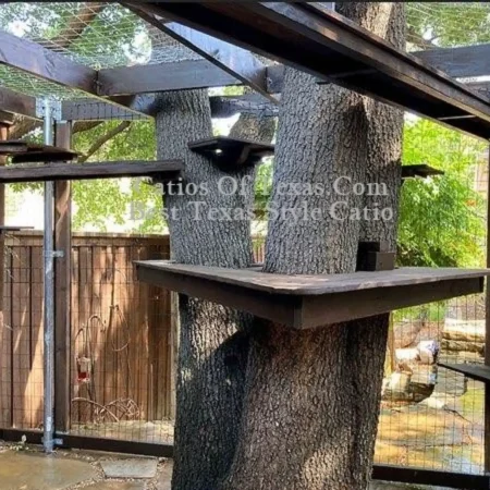 Catios of Texas.com