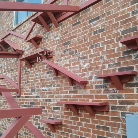 Catland catio, Catios of Texas.com