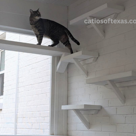 Indoor Catio Catios of Texas.com