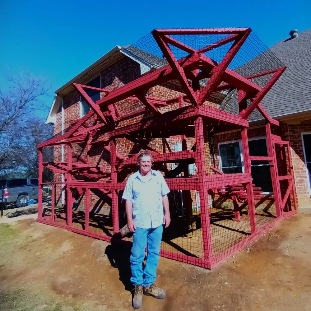 Todd-catland-catio-catiosoftexas.com_