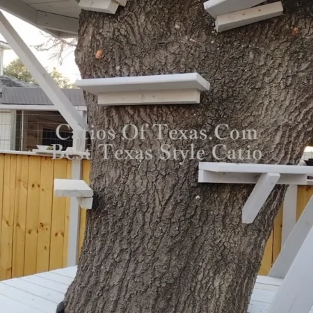 Custom Catio