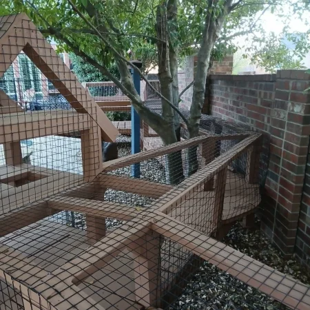 Zee's Texas Trail Catio1