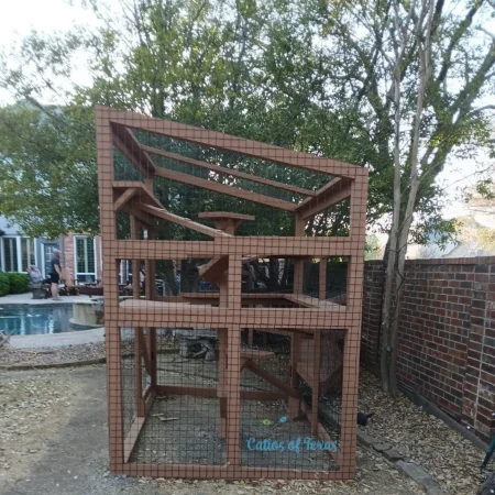 Zee's Texas Trail Catio10