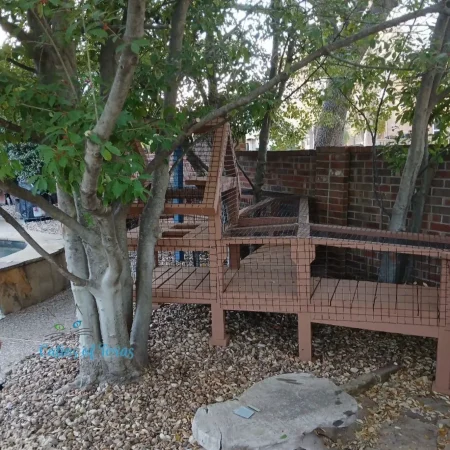 Zee's Texas Trail Catio11