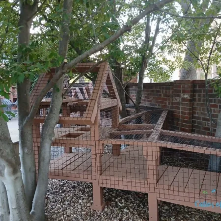 Zee's Texas Trail Catio12
