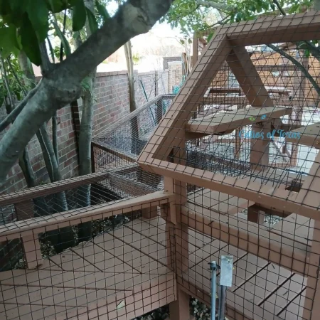 Zee's Texas Trail Catio13