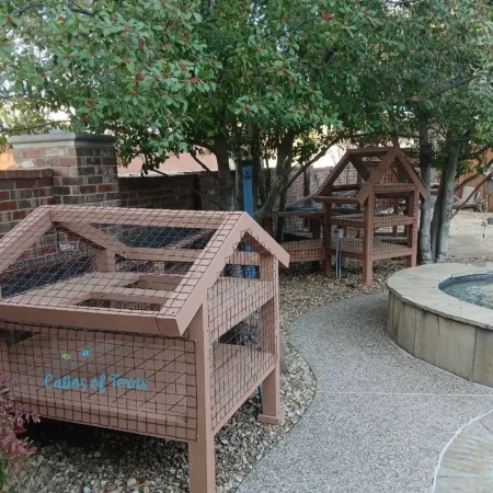 Zee's Texas Trail Catio14