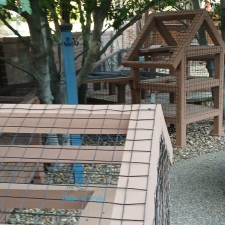 Zee's Texas Trail Catio16