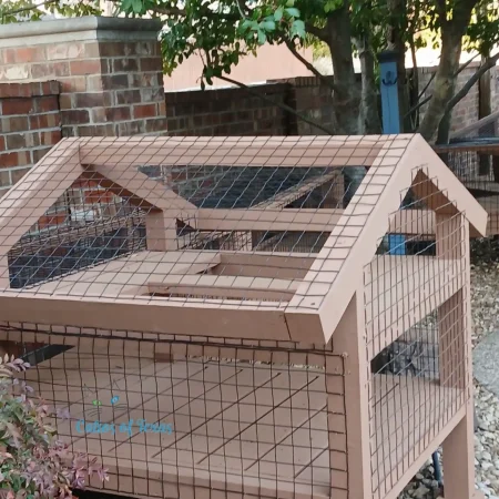 Zee's Texas Trail Catio17