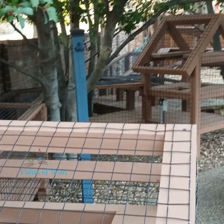 Zee's Texas Trail Catio19