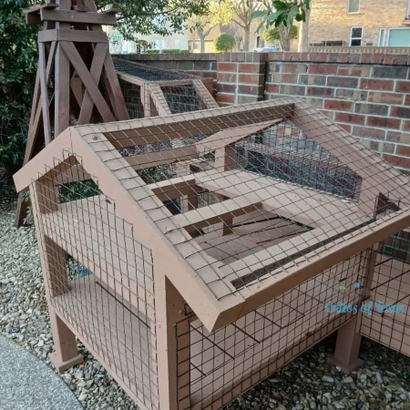 Zee's Texas Trail Catio2