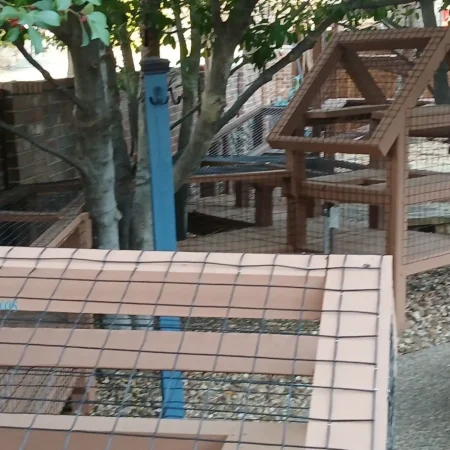 Zee's Texas Trail Catio20