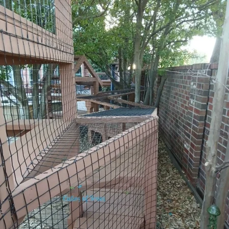 Zee's Texas Trail Catio3