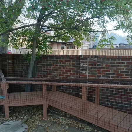 Zee's Texas Trail Catio4