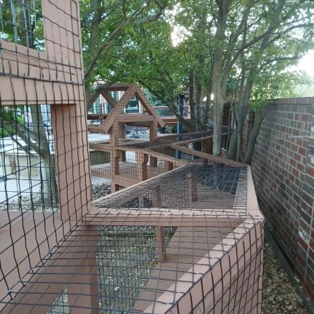 Zee's Texas Trail Catio5