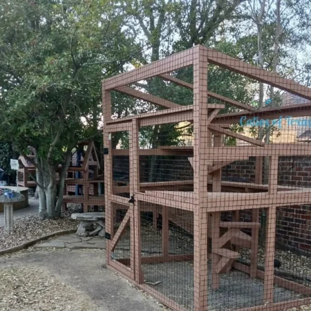 Zee's Texas Trail Catio6