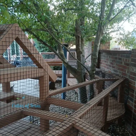 Zee's Texas Trail Catio7