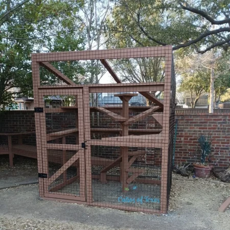 Zee's Texas Trail Catio9