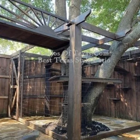 best Catios of Texas.com DFW