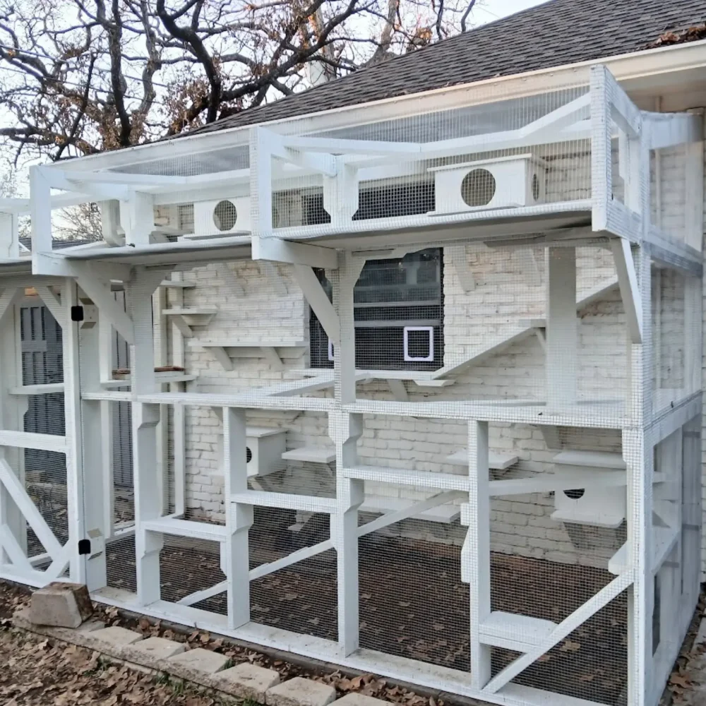 cat-enclosure-builders-in-dallas-catiosoftexas_