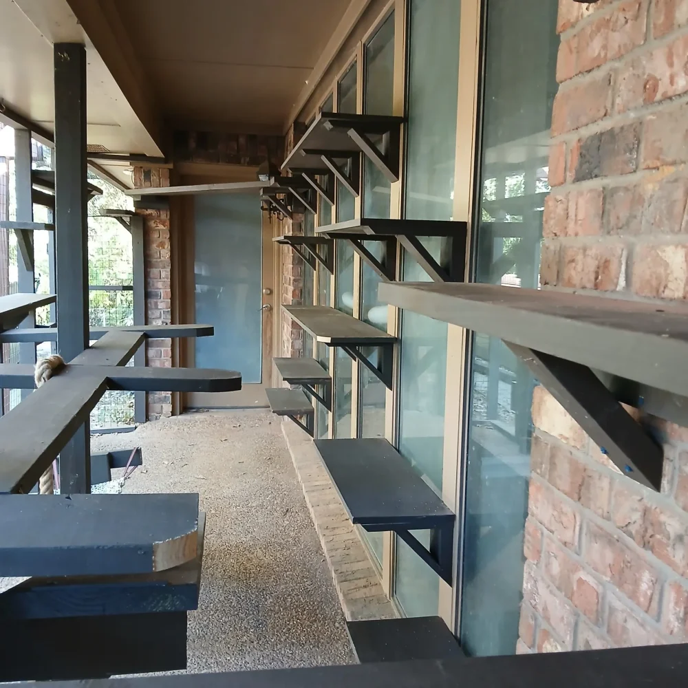 cat-patio-catio-catiosoftexas_-scaled