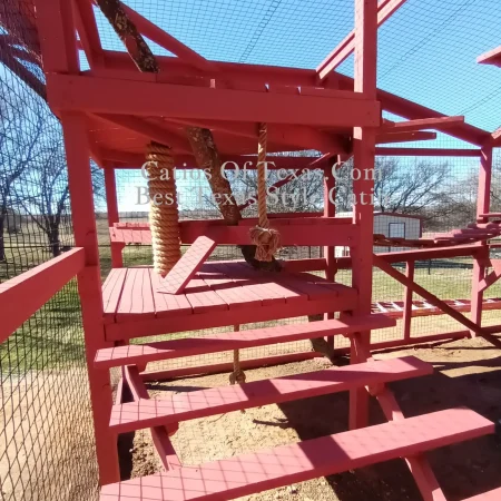 catio, Catios of Texas.com