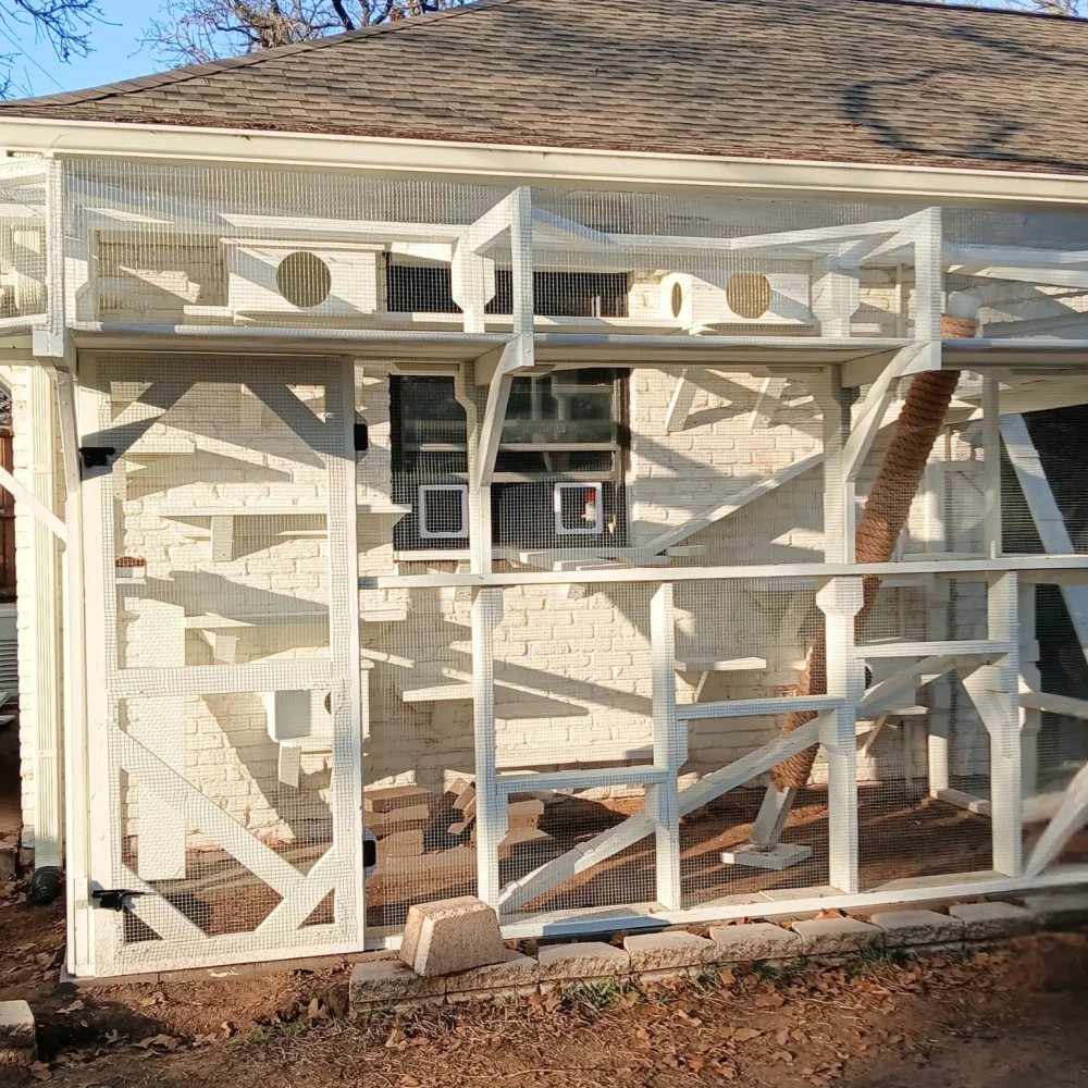 Custom Catio