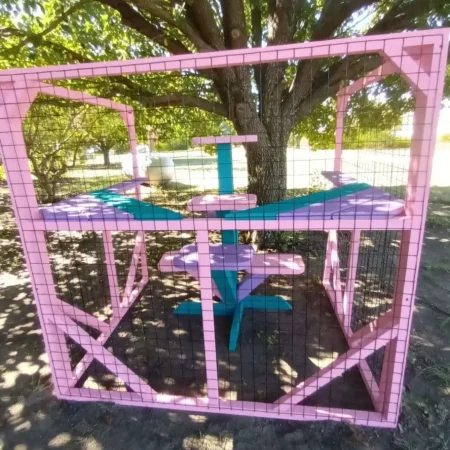 Custom Catio