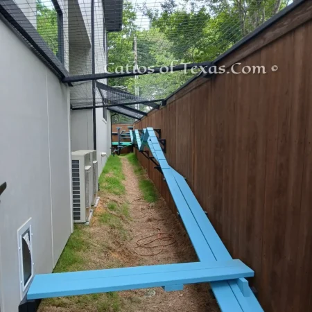 Chateau Meow Catio
