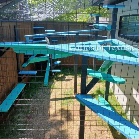 Chateau Meow Catio