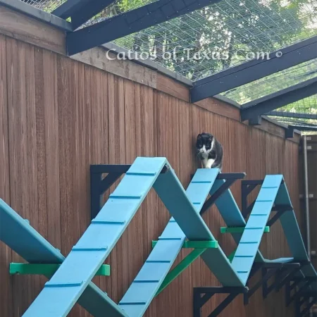Chateau Meow Catio