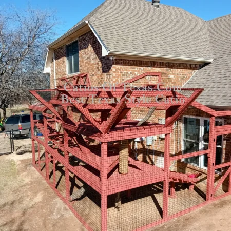 very big catio